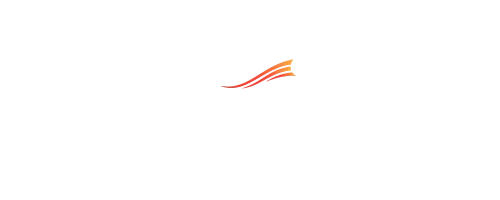 9wickets logo light – 9Wickets